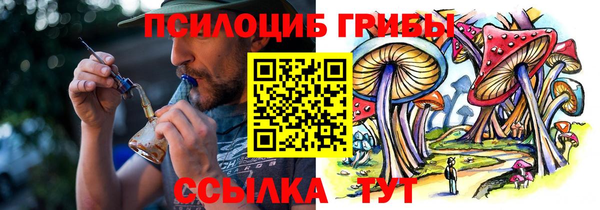 Галлюциногенные грибы GOLDEN TEACHER Рославль