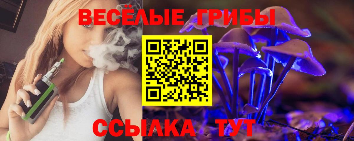 Псилоцибиновые грибы Magic Shrooms  Вход с VPN  Псилоцибиновые грибы прущие грибы  Рославль 